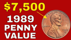 1989 d penny wide am