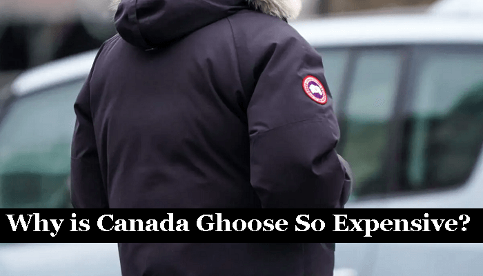 Why is Canada Goose So Expensive