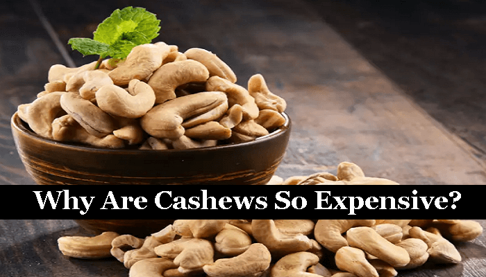 Why Are Cashews so Expensive