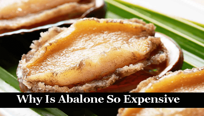 Why Is Abalone So Expensive