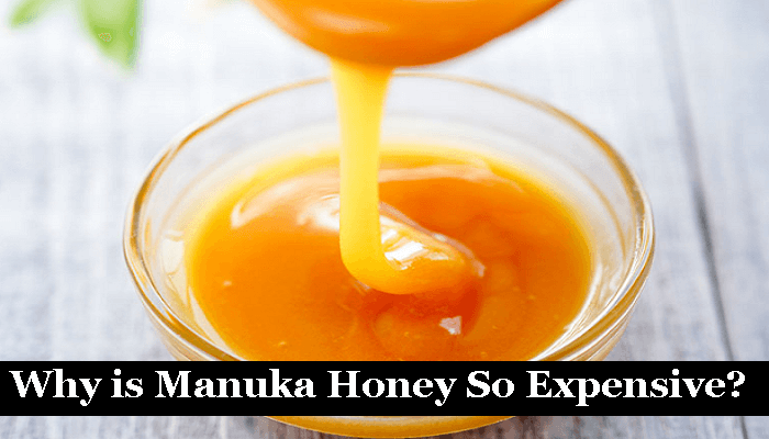 Why is Manuka Honey So Expensive