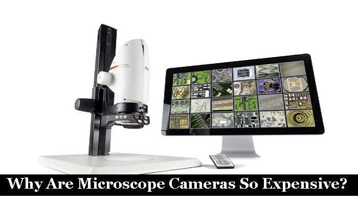 Why Are Microscope Cameras So Expensive