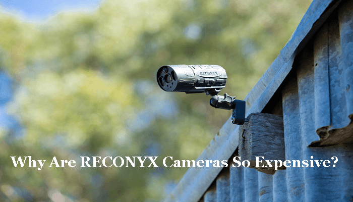 Why Are RECONYX Cameras So Expensive