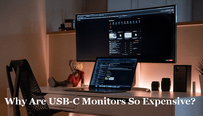 Why Are USB-C Monitors So Expensive