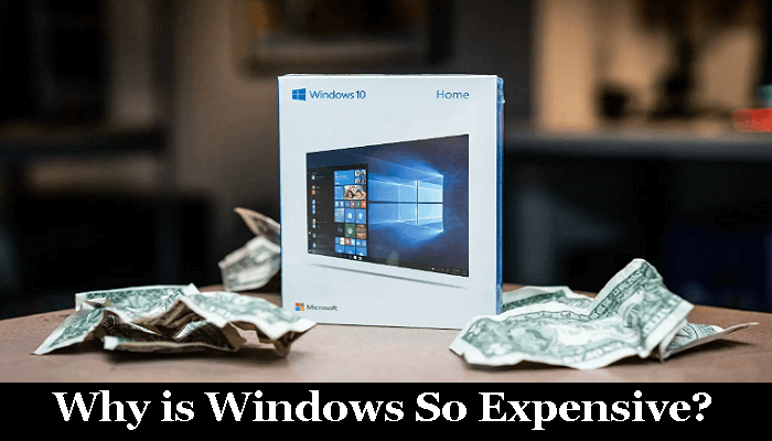 Why is Windows So Expensive