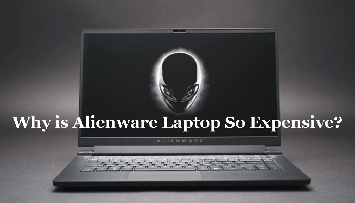 Why is Alienware Laptop So Expensive